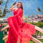 Georgette Saree